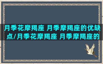 月季花摩羯座 月季摩羯座的优缺点/月季花摩羯座 月季摩羯座的优缺点-我的网站